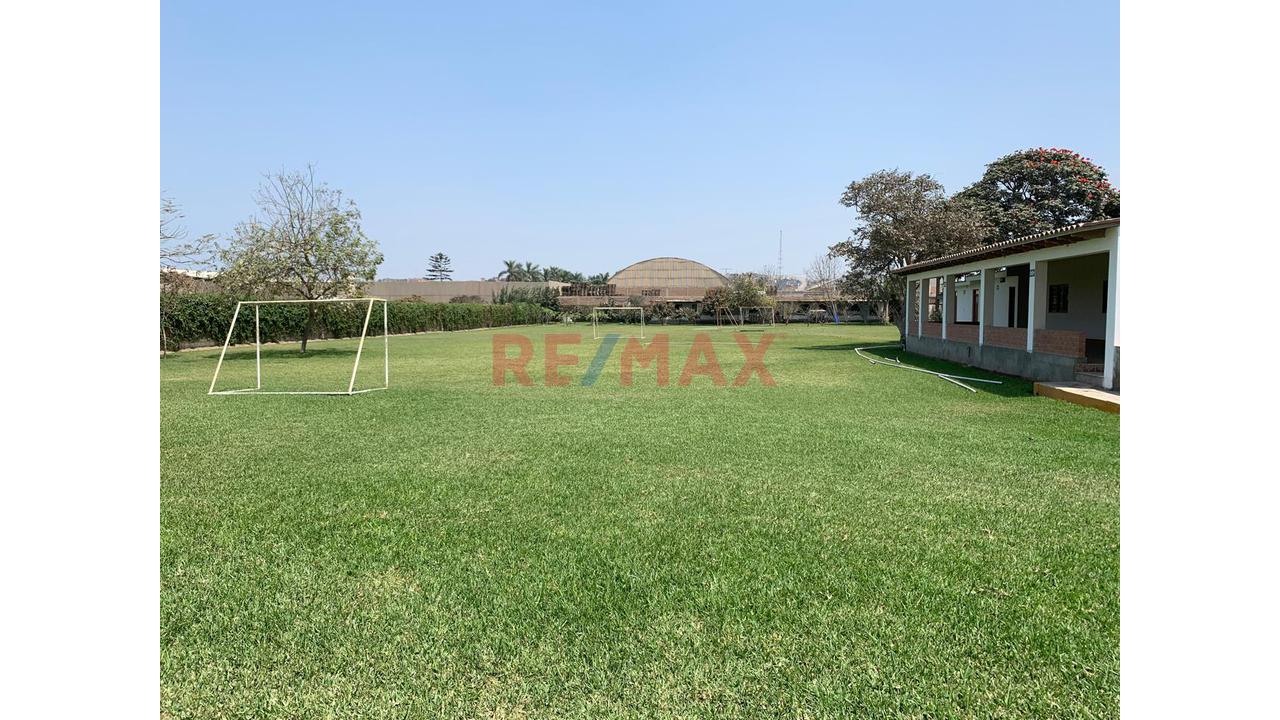 Terreno De 5023M2 - Una Cuadra De Antigua Panamericana Sur - Lurin/Pachacamac