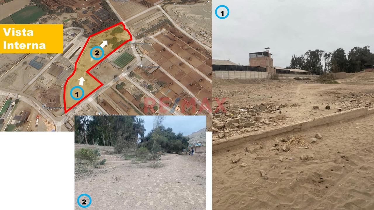 Terreno En Buena Vista Lurín 13000 M2 - 7