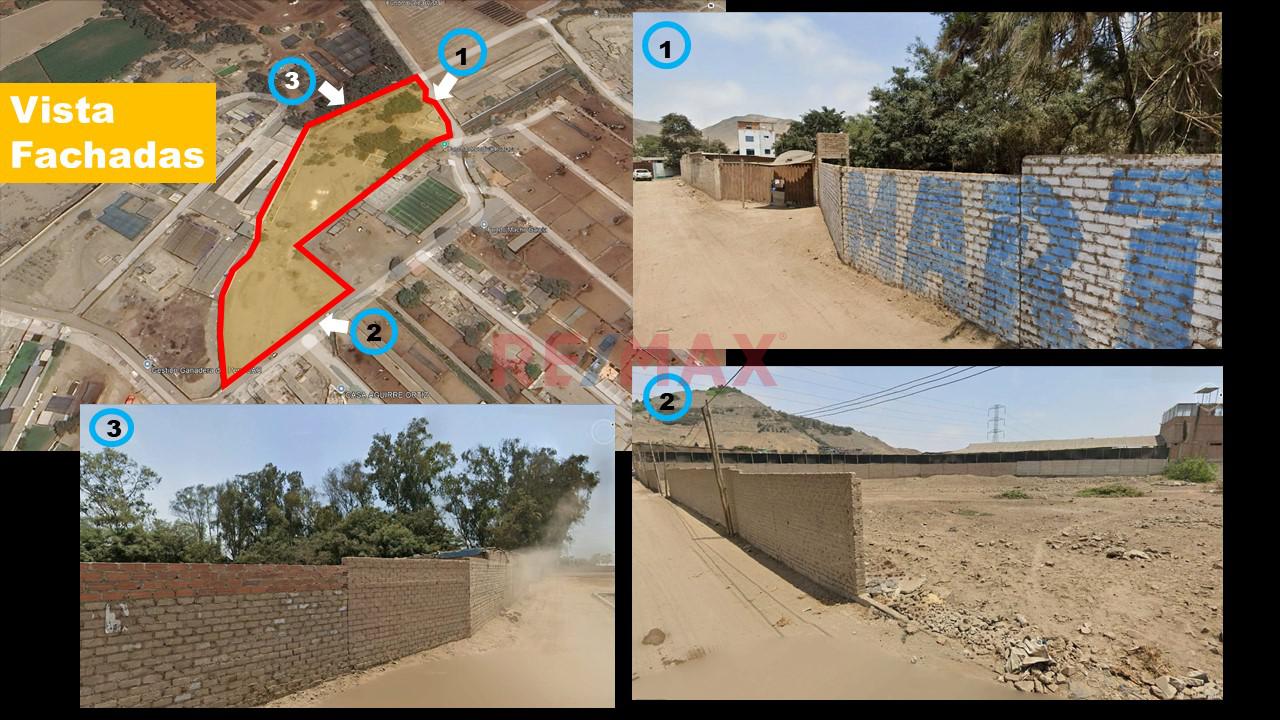 Terreno En Buena Vista Lurín 13000 M2 - 6