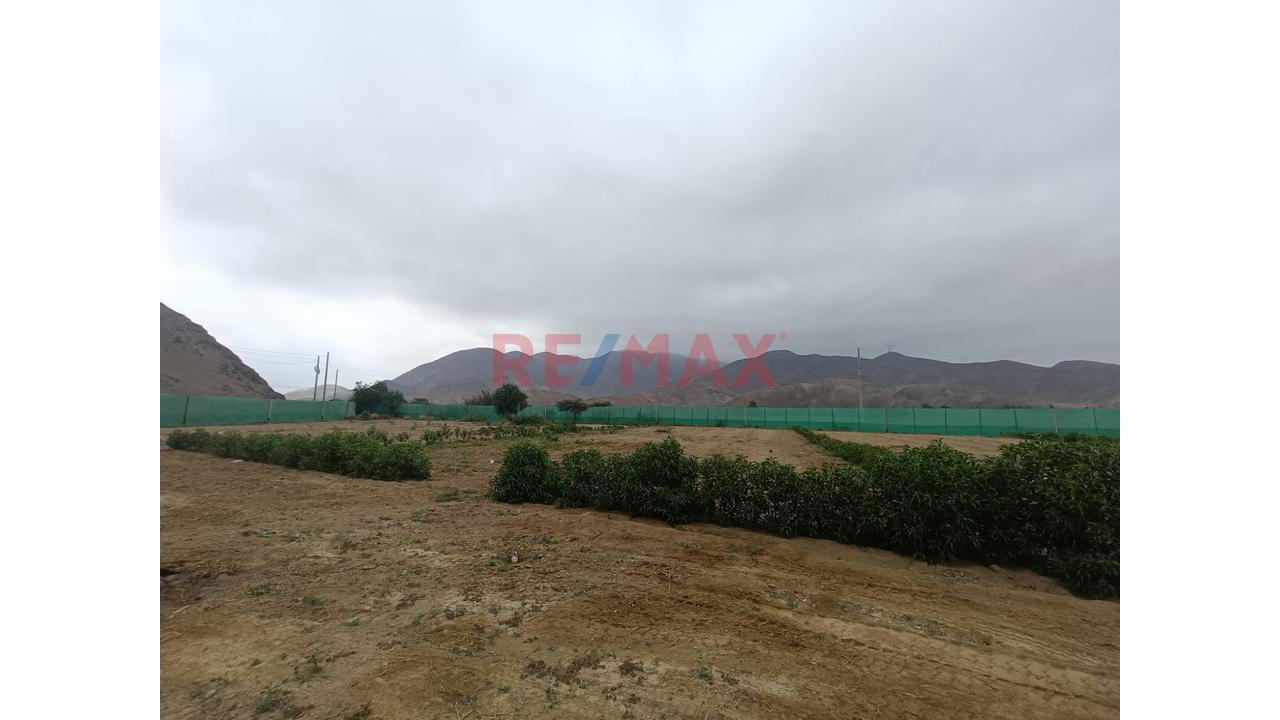Lote 853.11 A $ 65.00 M2. La Zona Con Mayor Crecimiento Y Plusvalía Al Sur De Lima. A Solo 1 Hora De Lima Y 10 Minutos De Las Mejores Playas. 🏡 Concepto Exclusivo Un Desarrollo Inspirado En El Encant — foto 8