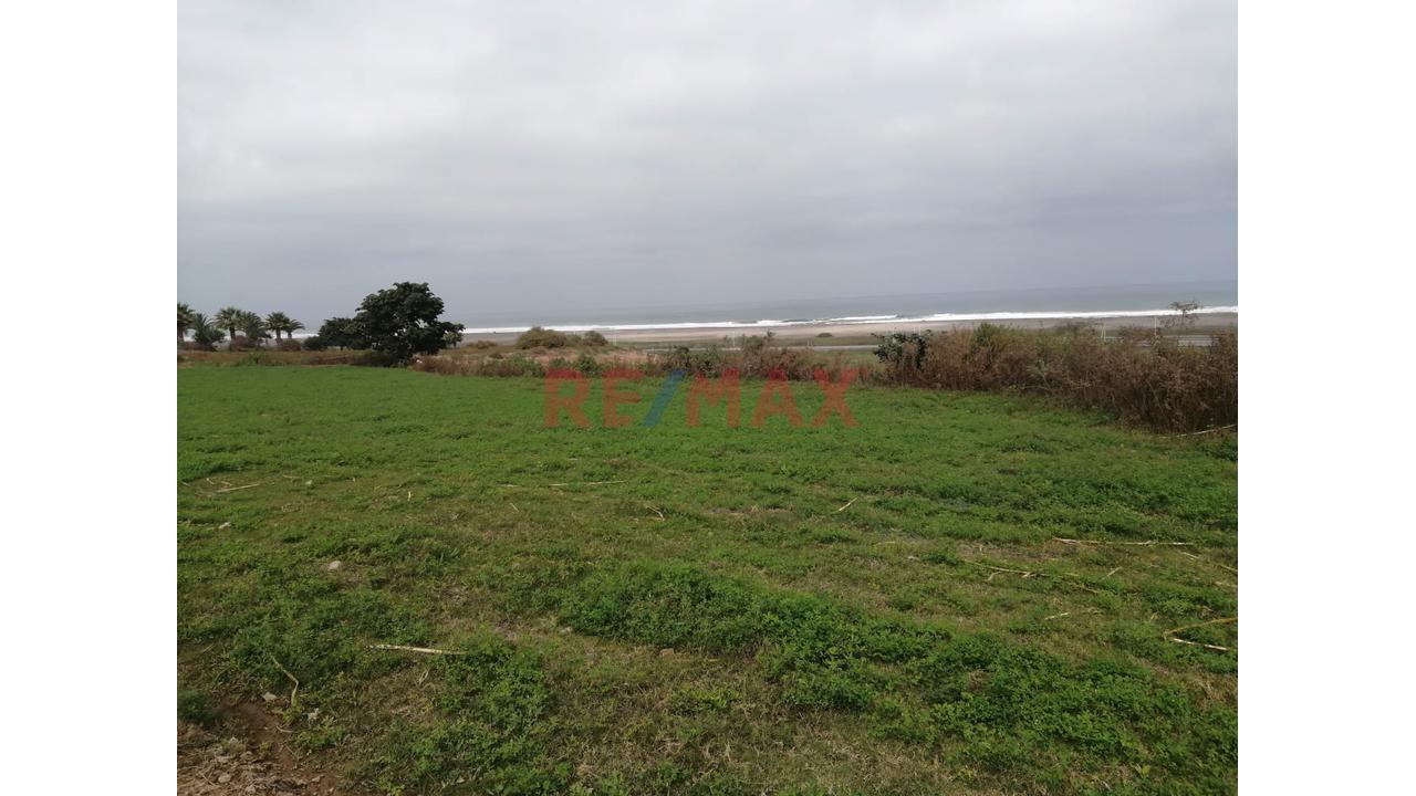 Vendo Espectacular Terreno En Mejía – 3.5 Hectáreas De Oportunidad Única - 2