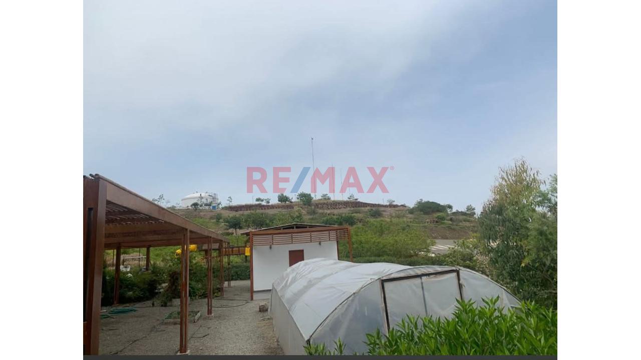 Terreno En San Antonio De Cañete Condominio Nuevo Polo Ii Etapa 140 M2 - 3