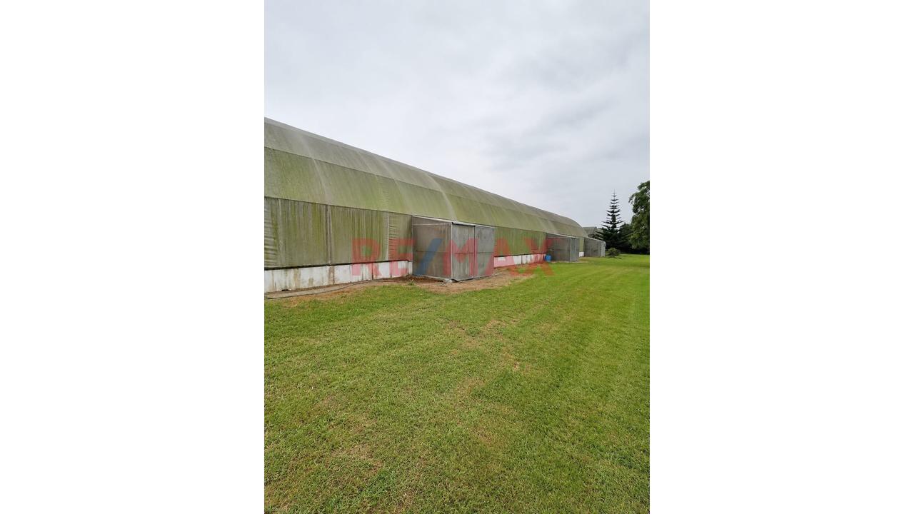 Exclusiva Oportunidad De Inversión | Terreno De 15,600 M² En Manchay Bajo, Pachacámac - 10