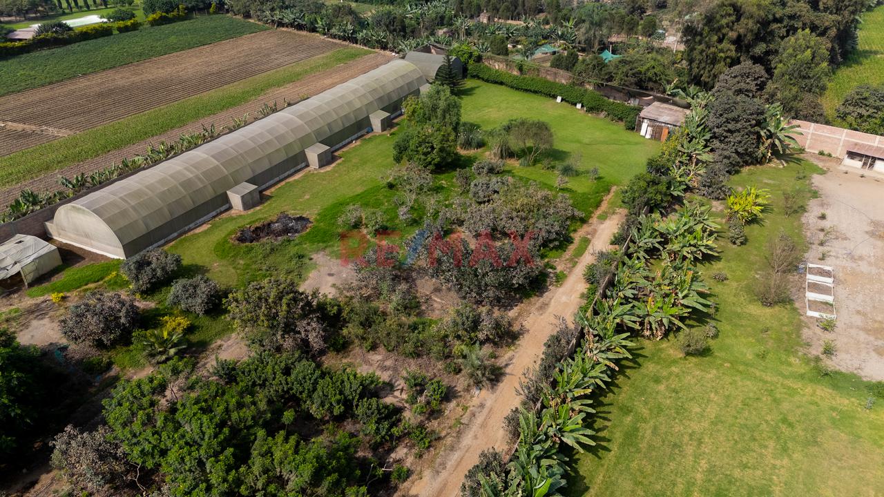 Exclusiva Oportunidad De Inversión | Terreno De 15,600 M² En Manchay Bajo, Pachacámac - 19