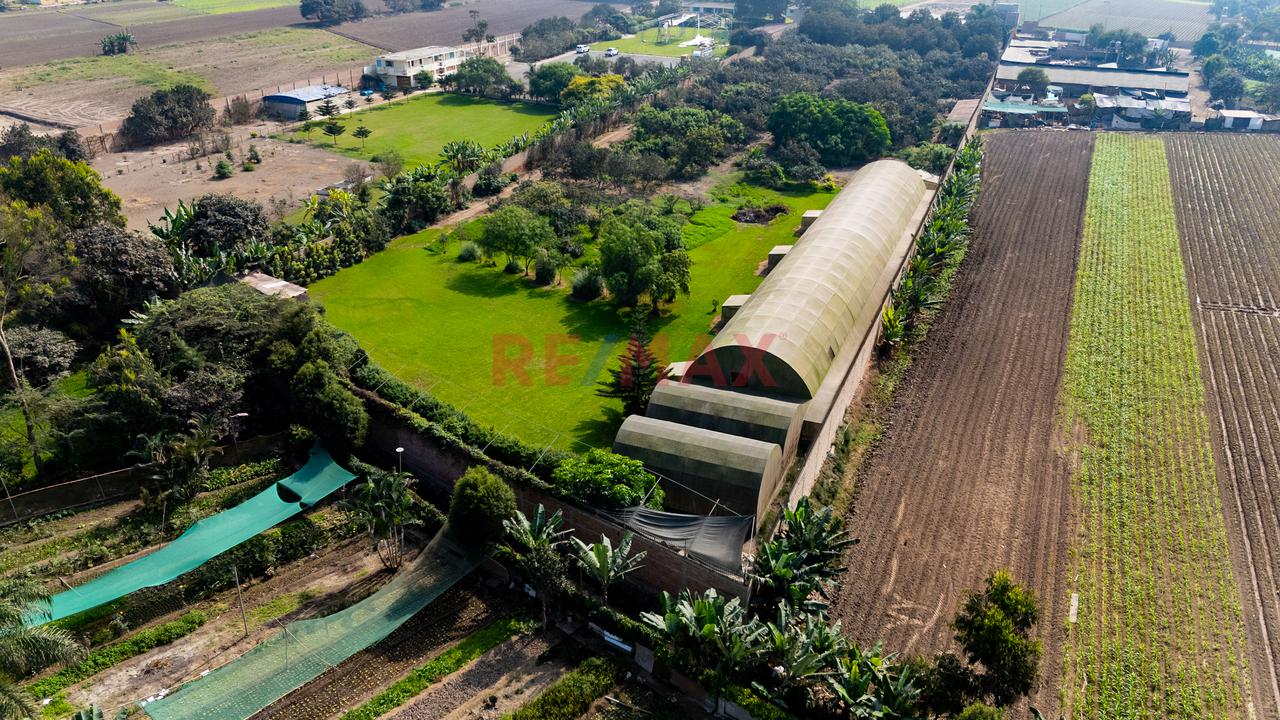 Exclusiva Oportunidad De Inversión | Terreno De 15,600 M² En Manchay Bajo, Pachacámac - 16