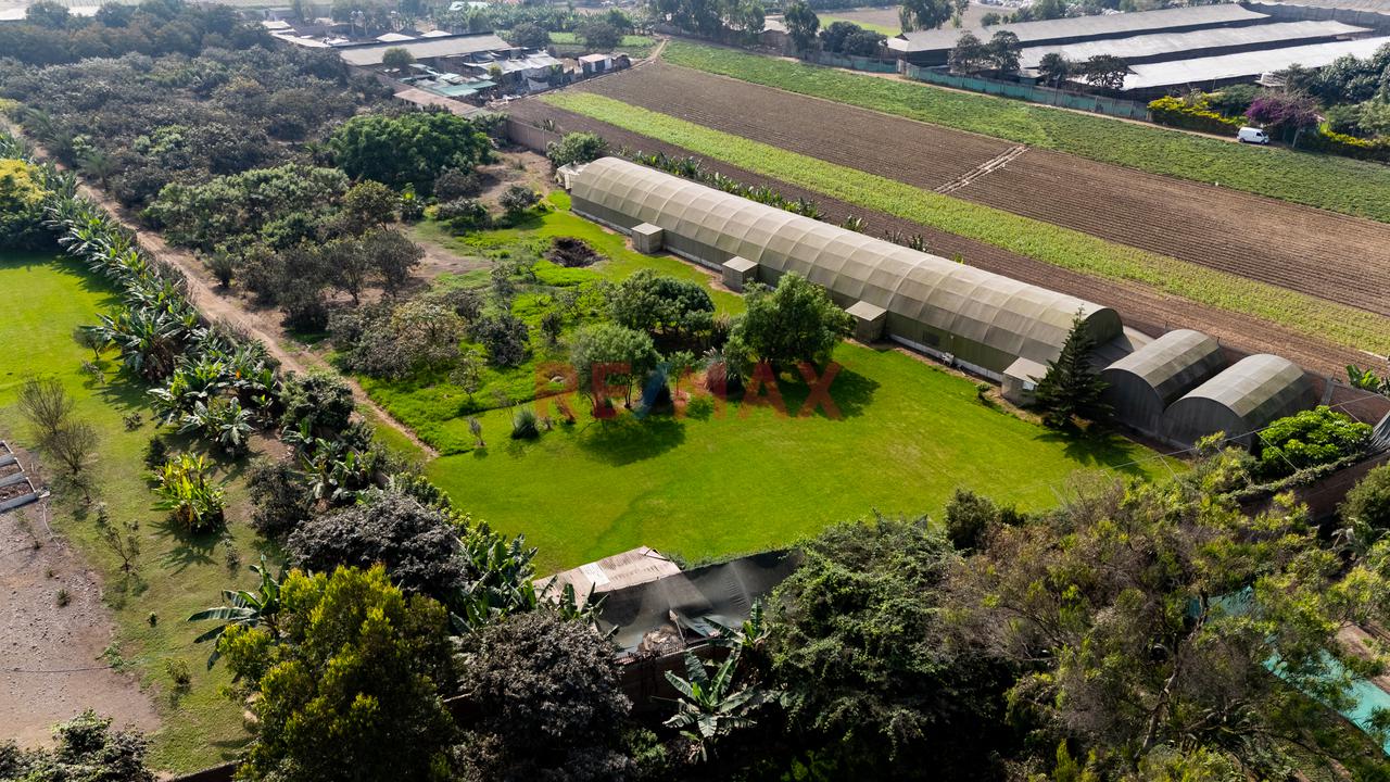 Exclusiva Oportunidad De Inversión | Terreno De 15,600 M² En Manchay Bajo, Pachacámac - 20