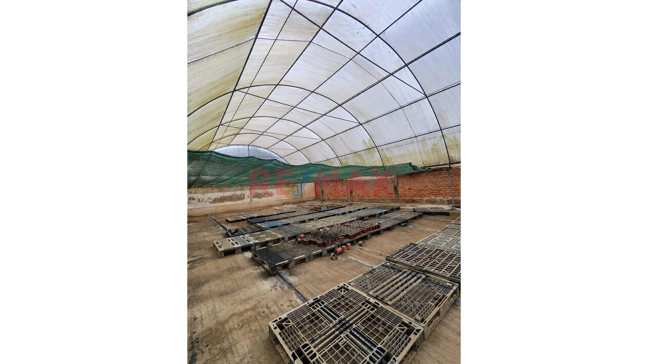 Exclusiva Oportunidad De Inversión | Terreno De 15,600 M² En Manchay Bajo, Pachacámac - 12