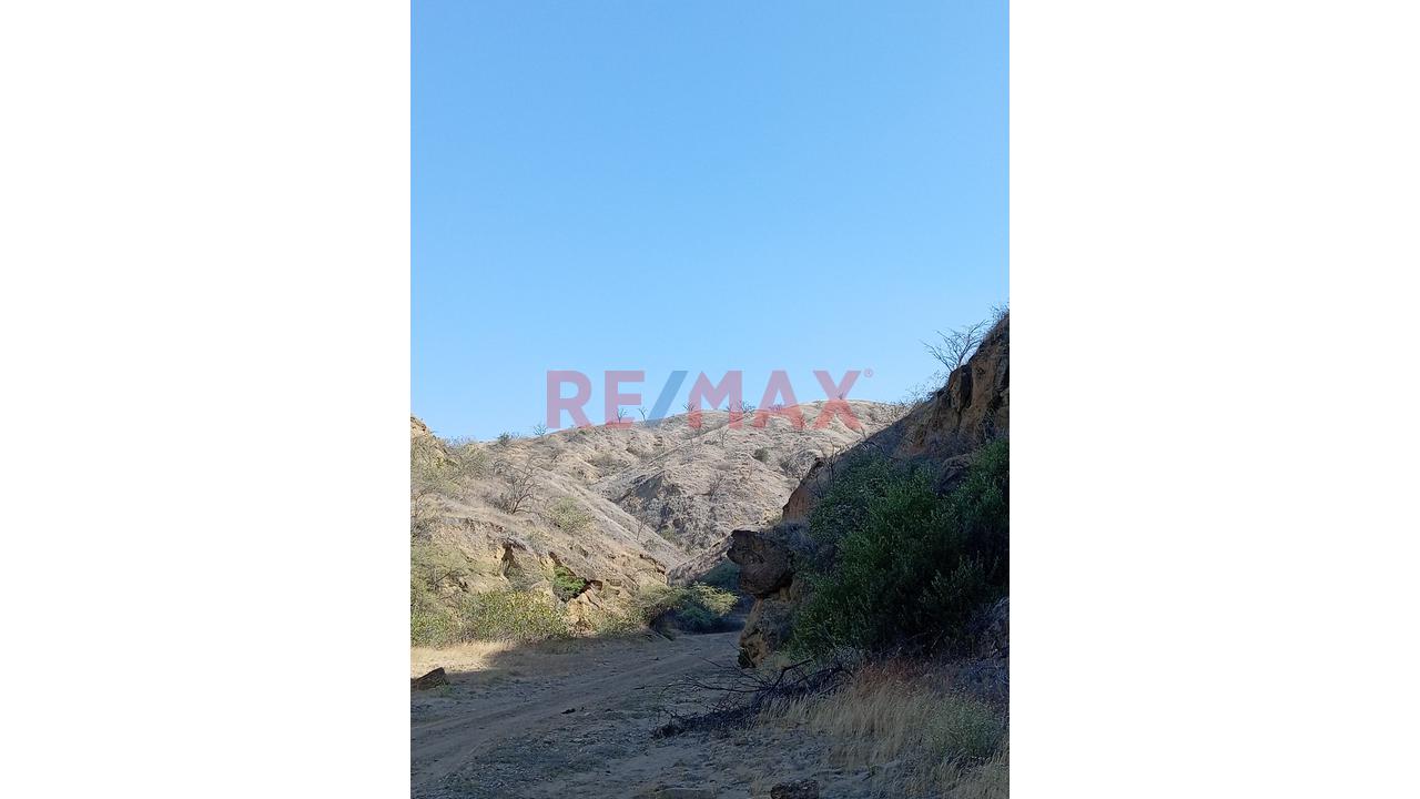 📌Exclusivo Terreno De📐 20,000 M² Con Titulo De Propiedad Independizados 🧨En Ocasión A 💰Us$ 80,000🔥Lotes Comerciales, Turísticos O Segunda Vivienda - Alta Plusvalía 🔅👁🗨Frente A Condominio✔ 📍Q - 17