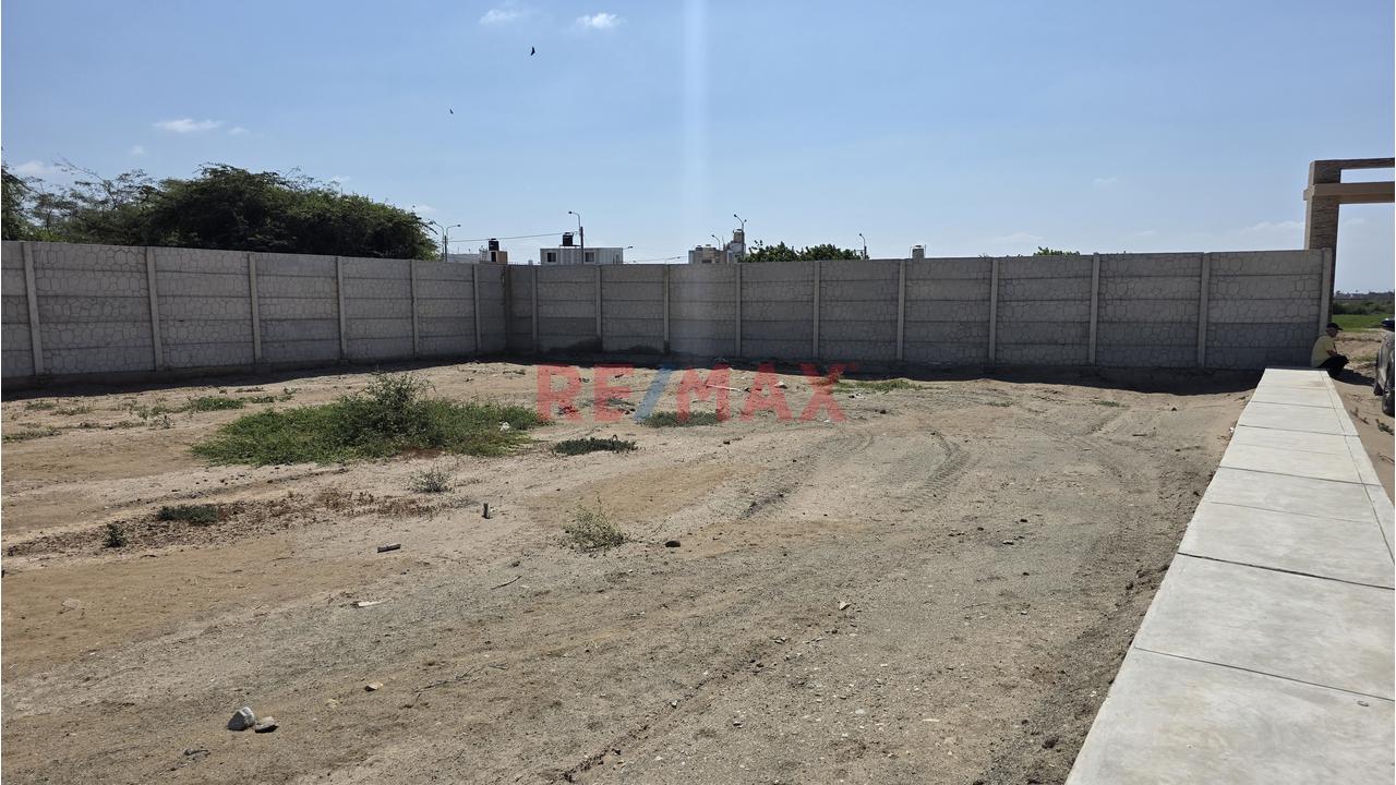 Terreno De 647 M2 En Pimentel Al Costado Del Centro De Esparcimiento Del Colegio De Ingenieros — foto 4
