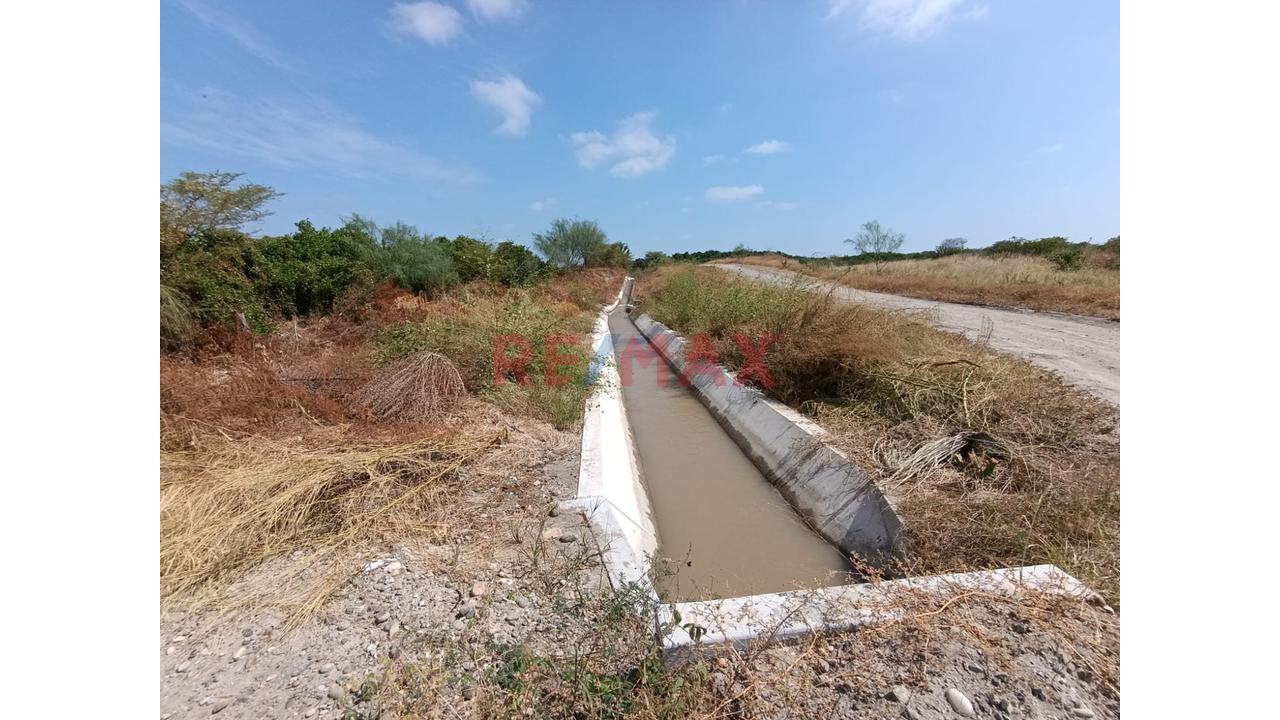 Se Alquila Terreno Agrícola De 13 Hectáreas Ubicado En El Valle De Los Incas Ex Cat Tupac Inca Yupanqui En Tambogrande Con Acceso A Agua Ubicada Al Costado De Canal Y Pista Afirmada.El Alquiler Mínimo - 12