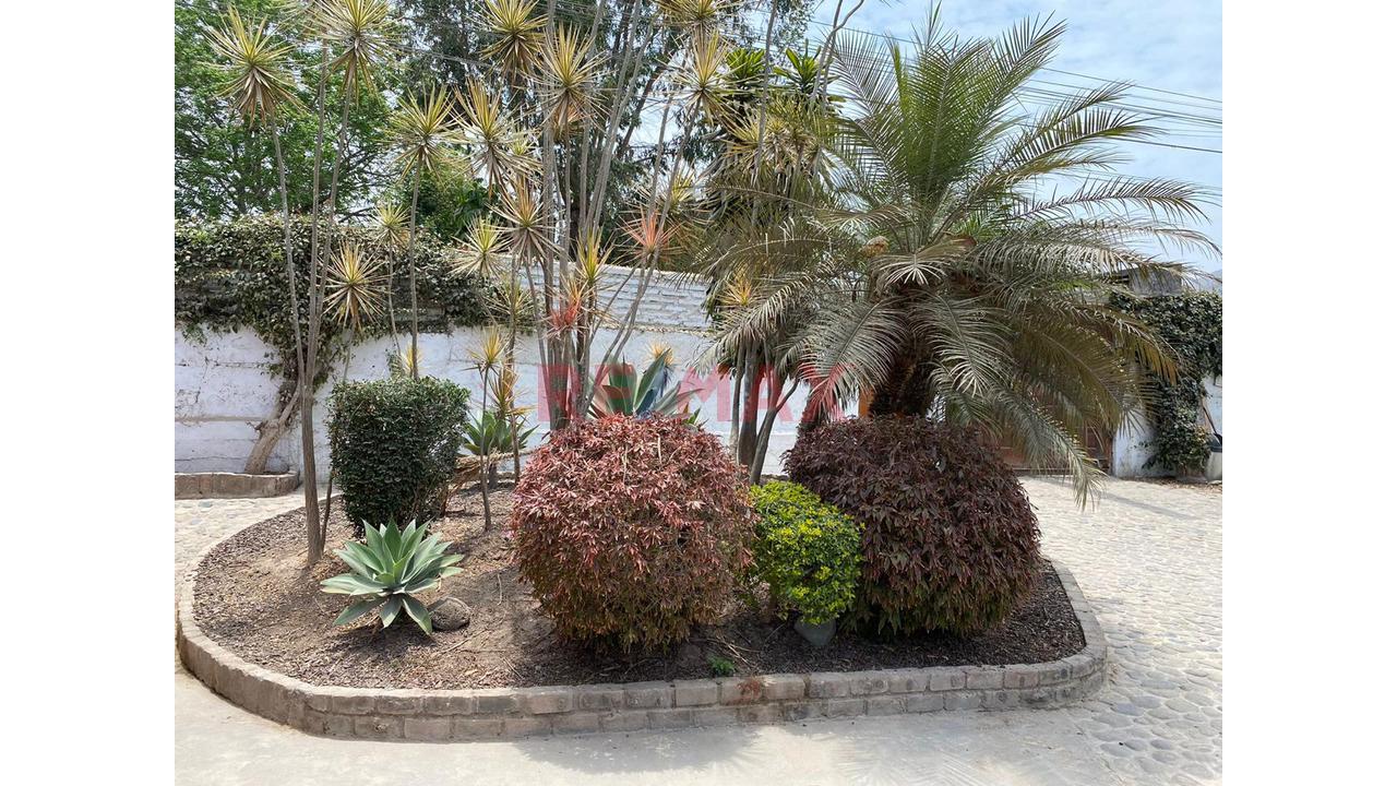 🏡 Casa De Campo En Pachacámac – Espacio, Naturaleza, Confort Y Oportunidad De Inversión — foto 13