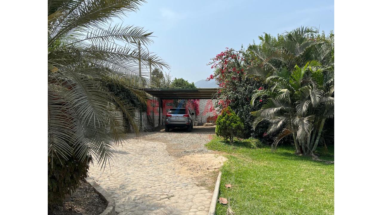 🏡 Casa De Campo En Pachacámac – Espacio, Naturaleza, Confort Y Oportunidad De Inversión — foto 11