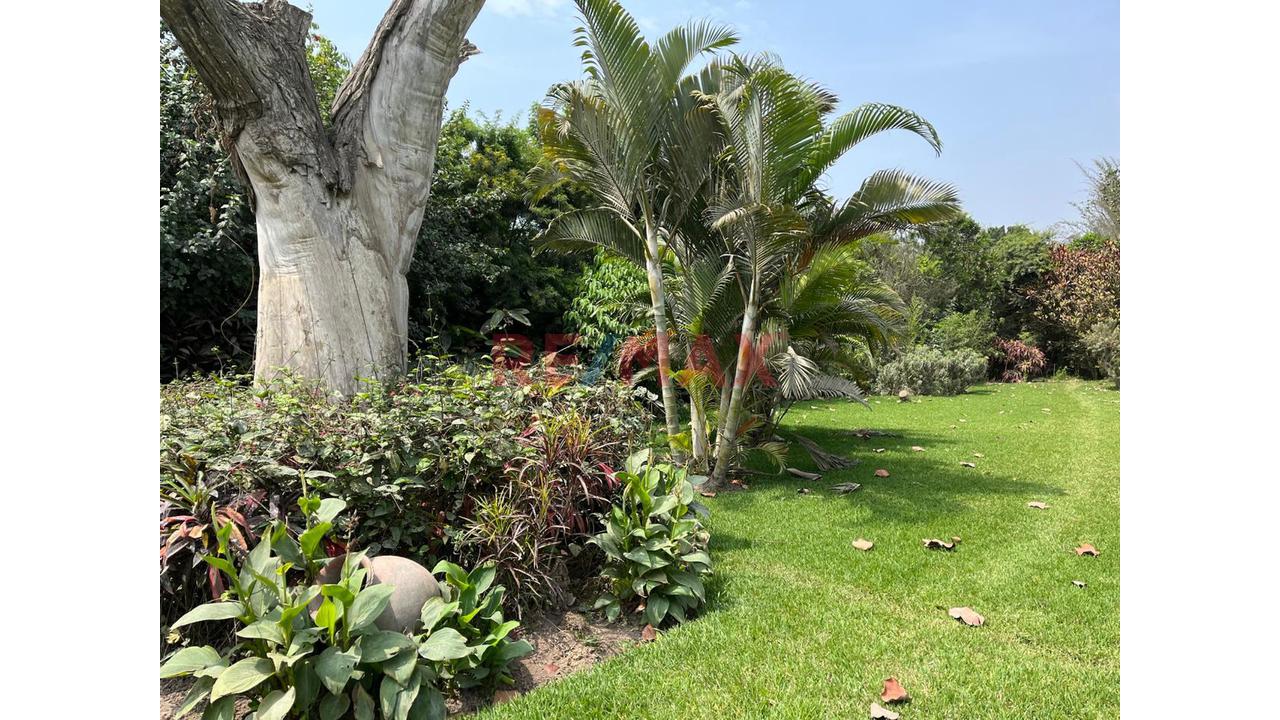 🏡 Casa De Campo En Pachacámac – Espacio, Naturaleza, Confort Y Oportunidad De Inversión — foto 12