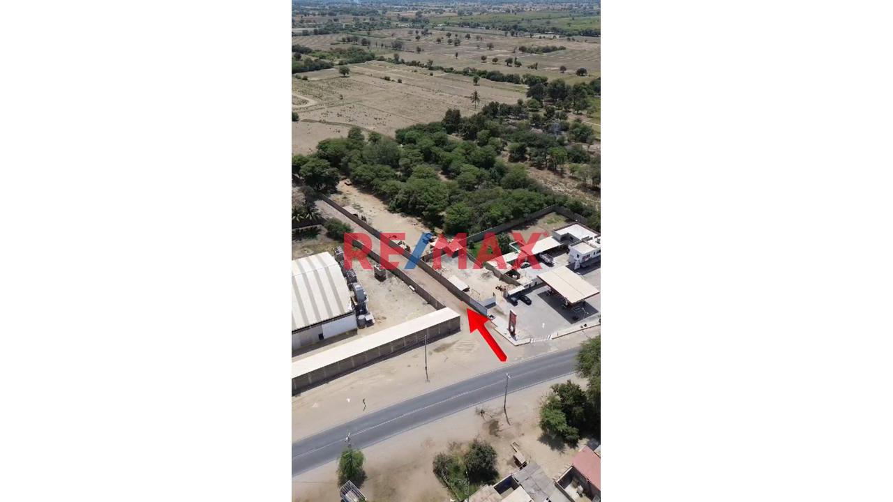 ❗❕Excelente Oportunidad De Inversión✔📌 Vendo Terreno Agricola En Catacaos - Piura  Area 1.33 Ha   Ubicado A Menos De 1 Km En La Av. Que Conecta El Bajo Piura Con El Medio Piura S - 3