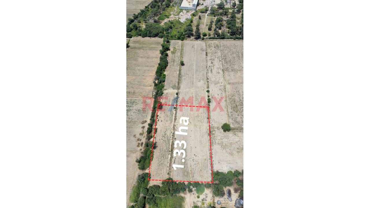 ❗❕Excelente Oportunidad De Inversión✔📌 Vendo Terreno Agricola En Catacaos - Piura  Area 1.33 Ha   Ubicado A Menos De 1 Km En La Av. Que Conecta El Bajo Piura Con El Medio Piura S - 4