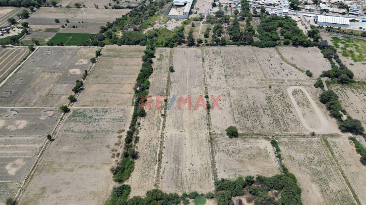 ❗❕Excelente Oportunidad De Inversión✔📌 Vendo Terreno Agricola En Catacaos - Piura  Area 1.33 Ha   Ubicado A Menos De 1 Km En La Av. Que Conecta El Bajo Piura Con El Medio Piura S - 8