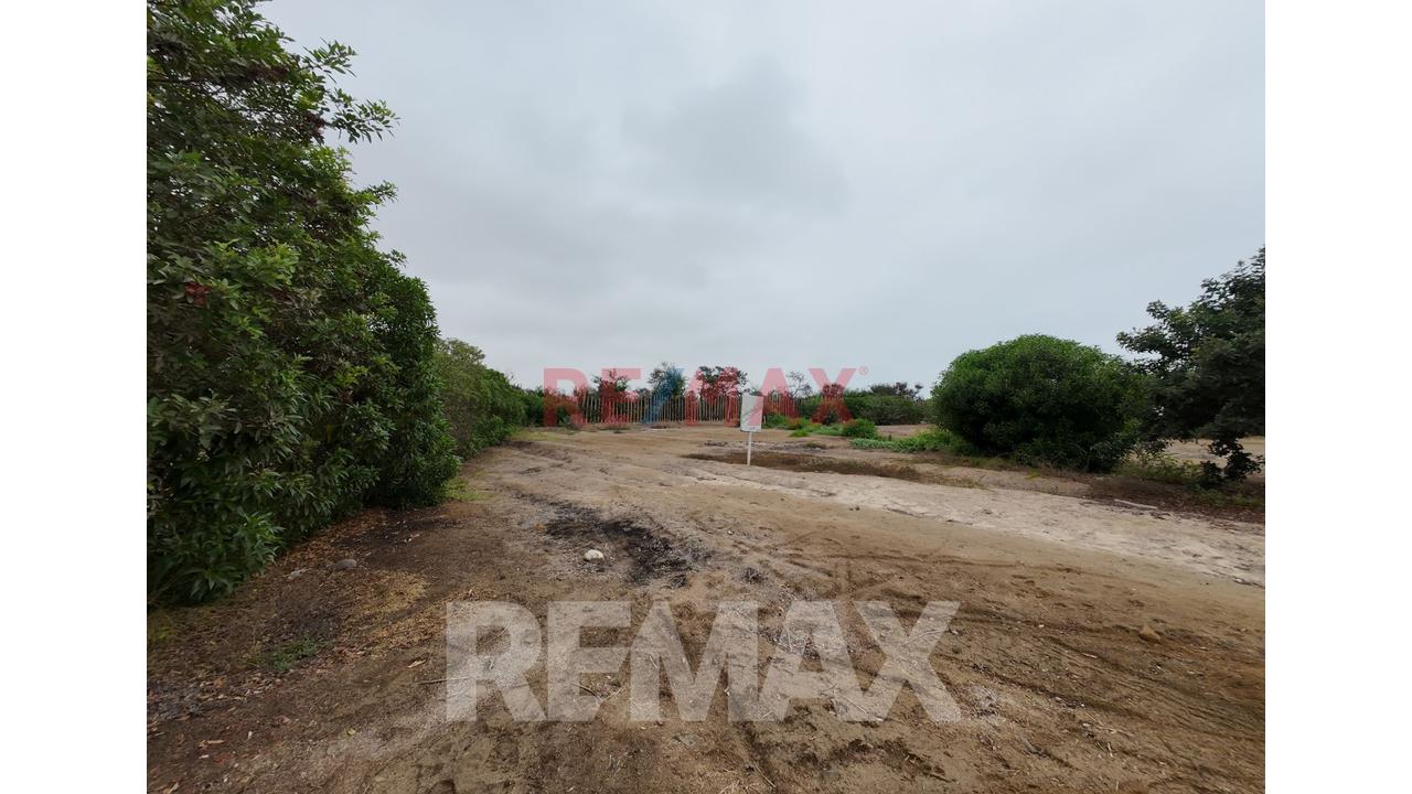 Terreno En Venta En El Hermoso Y Exclusivo Condominio Alto Pradera De Asia – Km 100 Panamericana Sur — foto 15