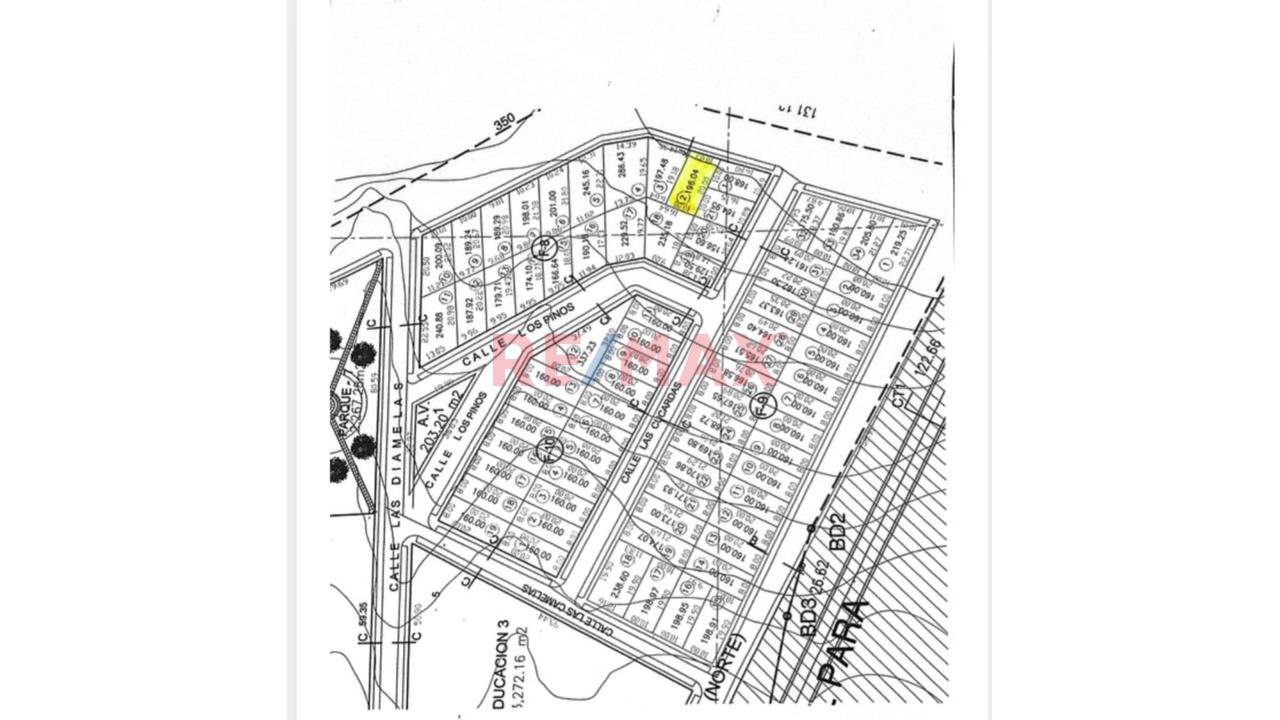 🏡 Venta De Terreno De 196.04 M² En Cieneguilla | Urbanización Segura 🌿 — foto 3