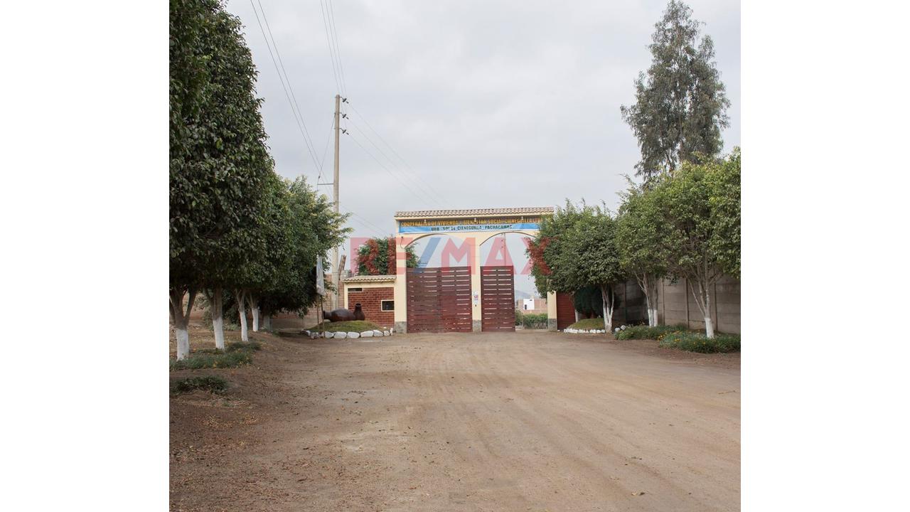 🏡 Venta De Terreno De 196.04 M² En Cieneguilla | Urbanización Segura 🌿