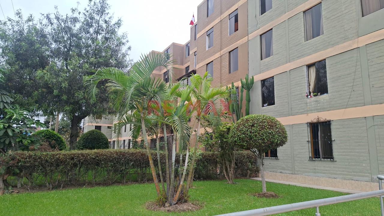 Departamento En Alquiler En Surco – La Cruceta — foto 10
