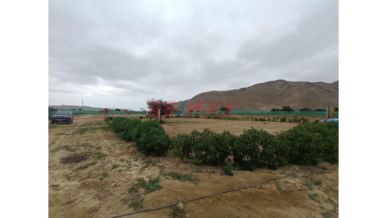 Lote De 1036.76 A $ 65.00 M2. La Zona Con Mayor Crecimiento Y Plusvalía Al Sur De Lima. A Solo 1 Hora De Lima Y 10 Minutos De Las Mejores Playas. 🏡 Concepto Exclusivo Un Desarrollo Inspirado En El En — foto 9