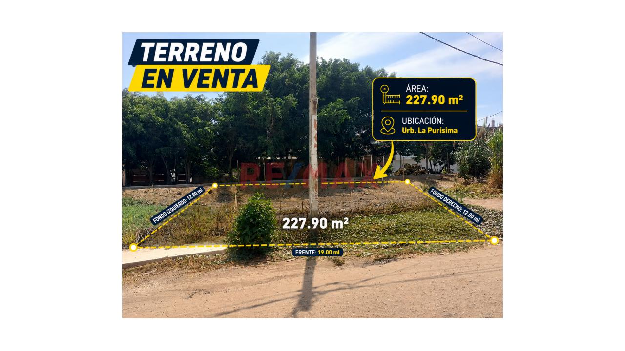 🌟 Terreno En Venta En Esquina – Urb. La Purísima - 1
