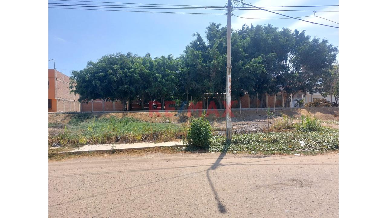 🌟 Terreno En Venta En Esquina – Urb. La Purísima - 4