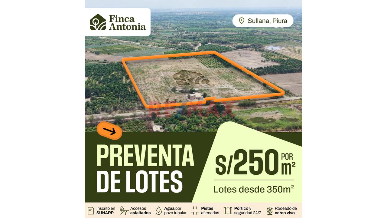 Venta De Lotes De Casa De Campo - Finca Antonia - Lotes Desde 350Mt2 - 3