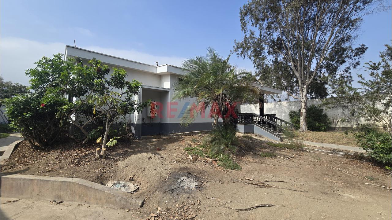 Complejo Campestre 11,801M² Bujama, Mala – Cañete - 11
