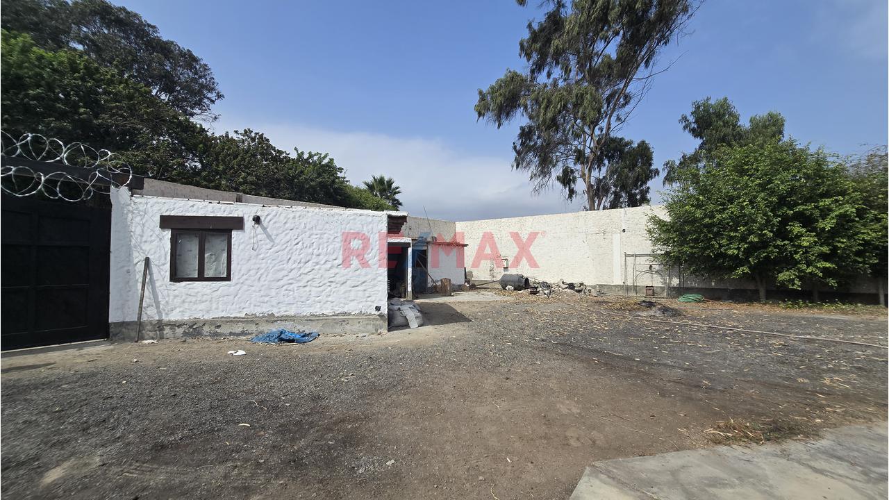 Complejo Campestre 11,801M² Bujama, Mala – Cañete - 17