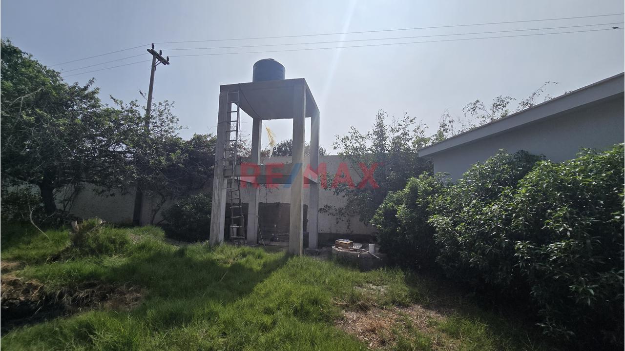 Complejo Campestre 11,801M² Bujama, Mala – Cañete - 16