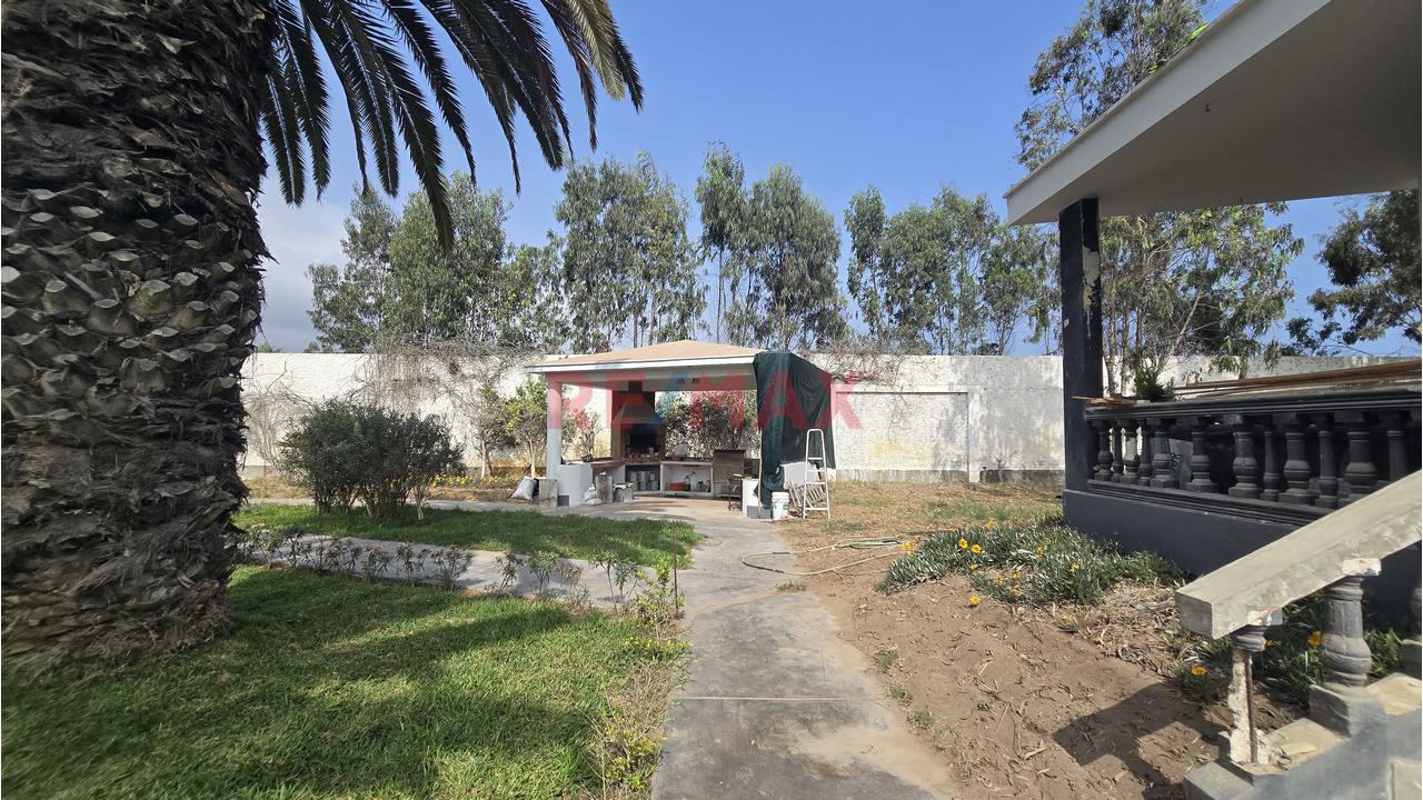 Complejo Campestre 11,801M² Bujama, Mala – Cañete - 4