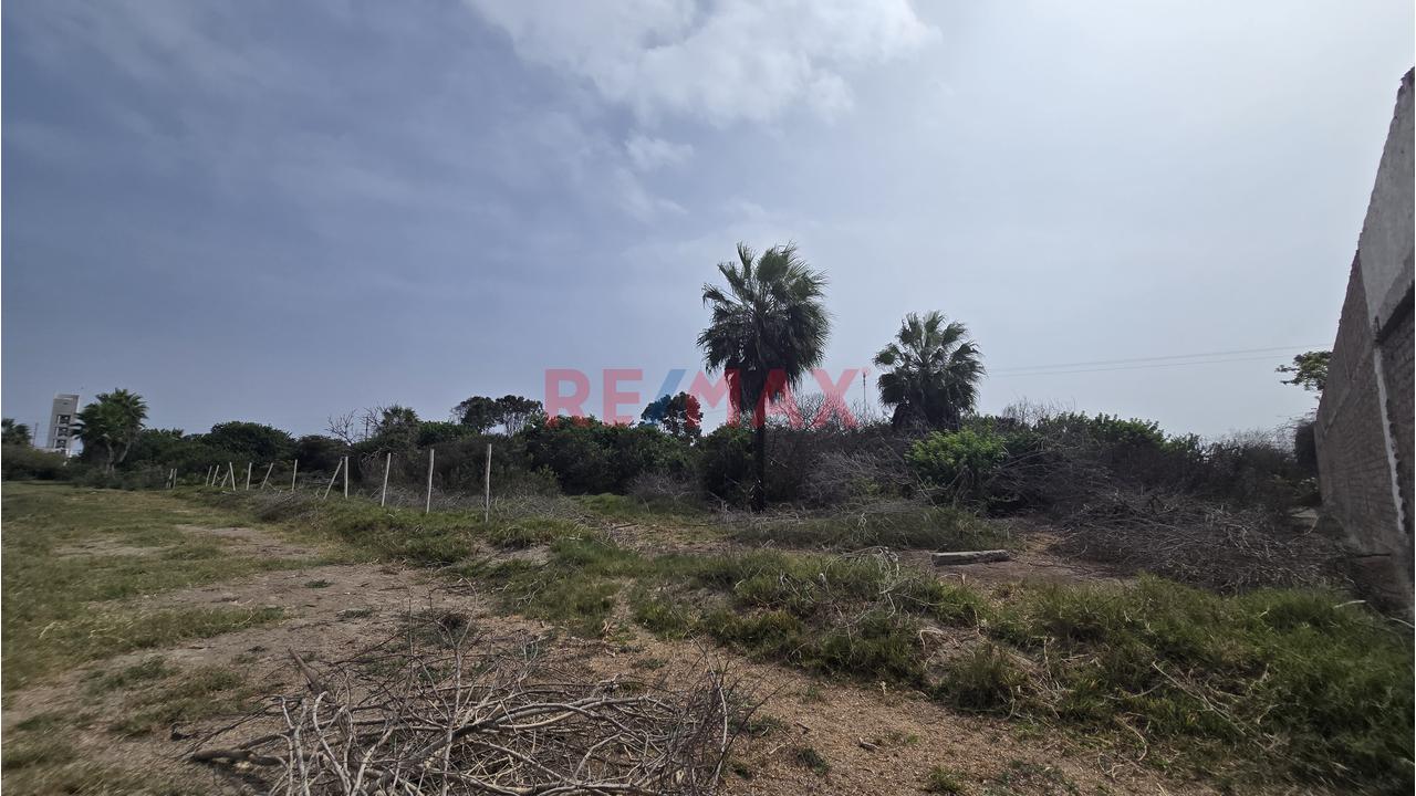 Complejo Campestre 11,801M² Bujama, Mala – Cañete - 19
