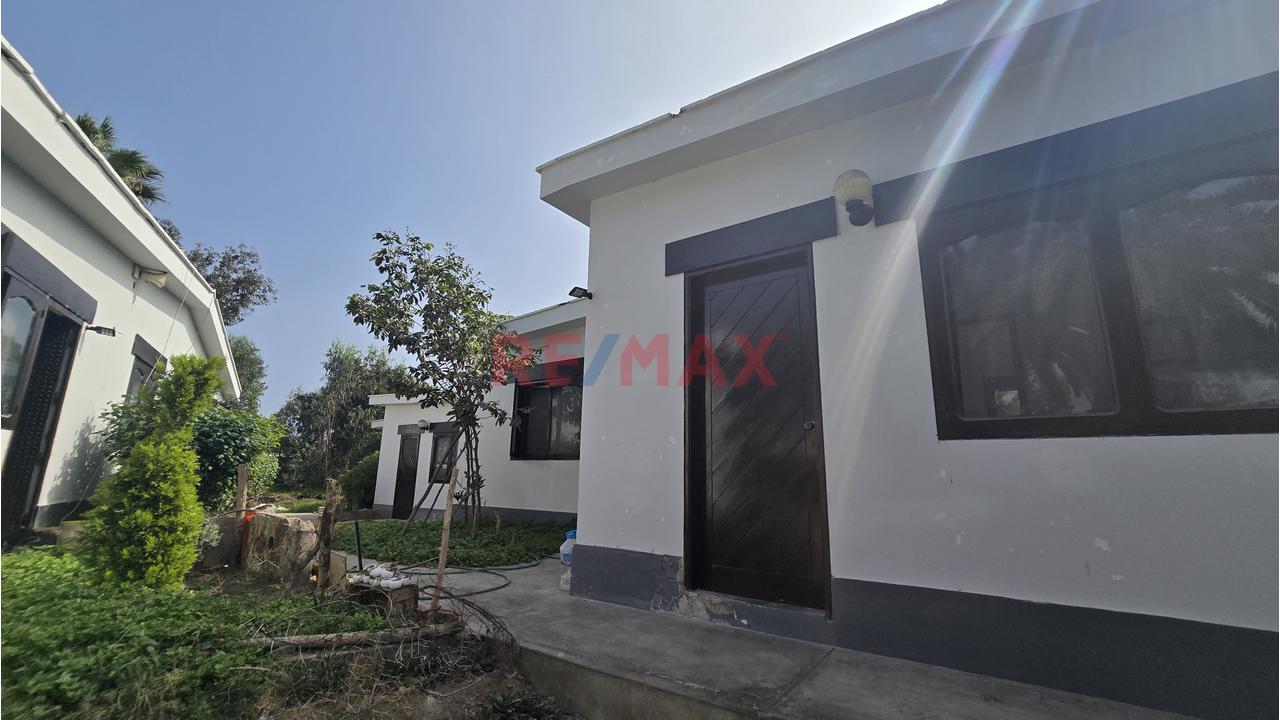 Complejo Campestre 11,801M² Bujama, Mala – Cañete - 10