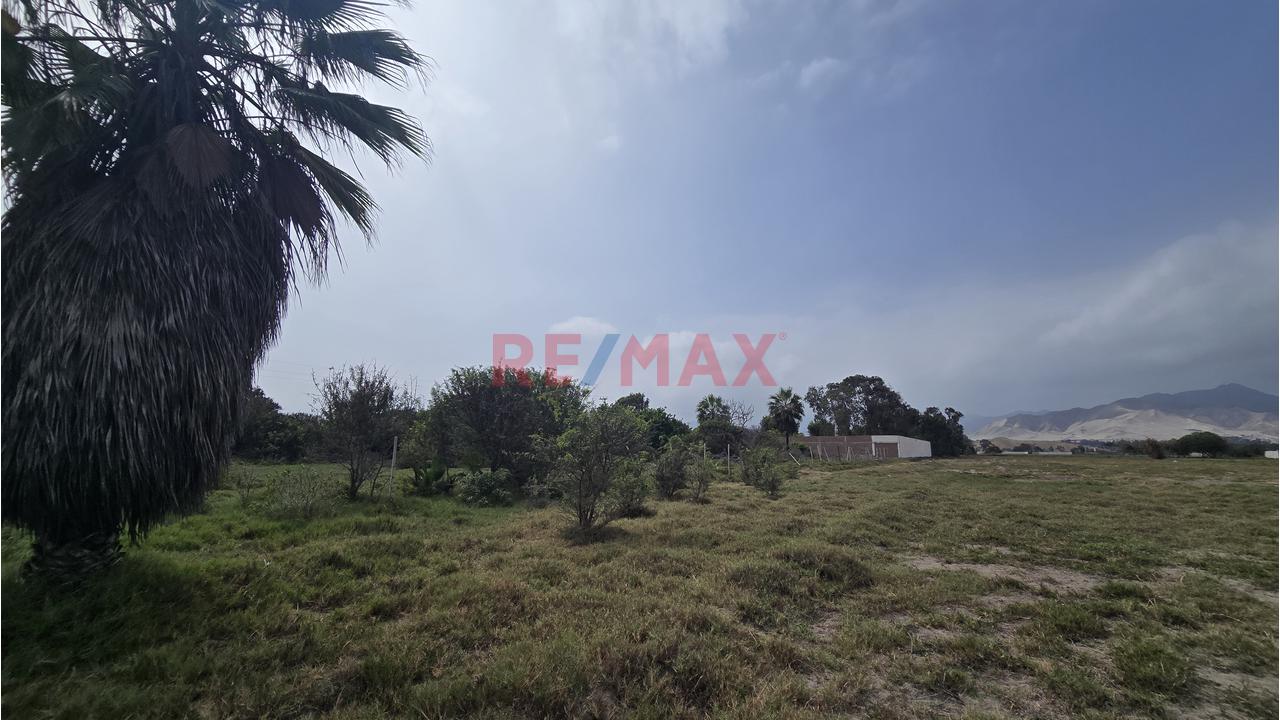 Complejo Campestre 11,801M² Bujama, Mala – Cañete - 18