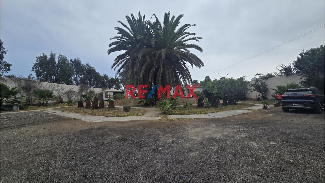Complejo Campestre 11,801M² Bujama, Mala – Cañete - 1