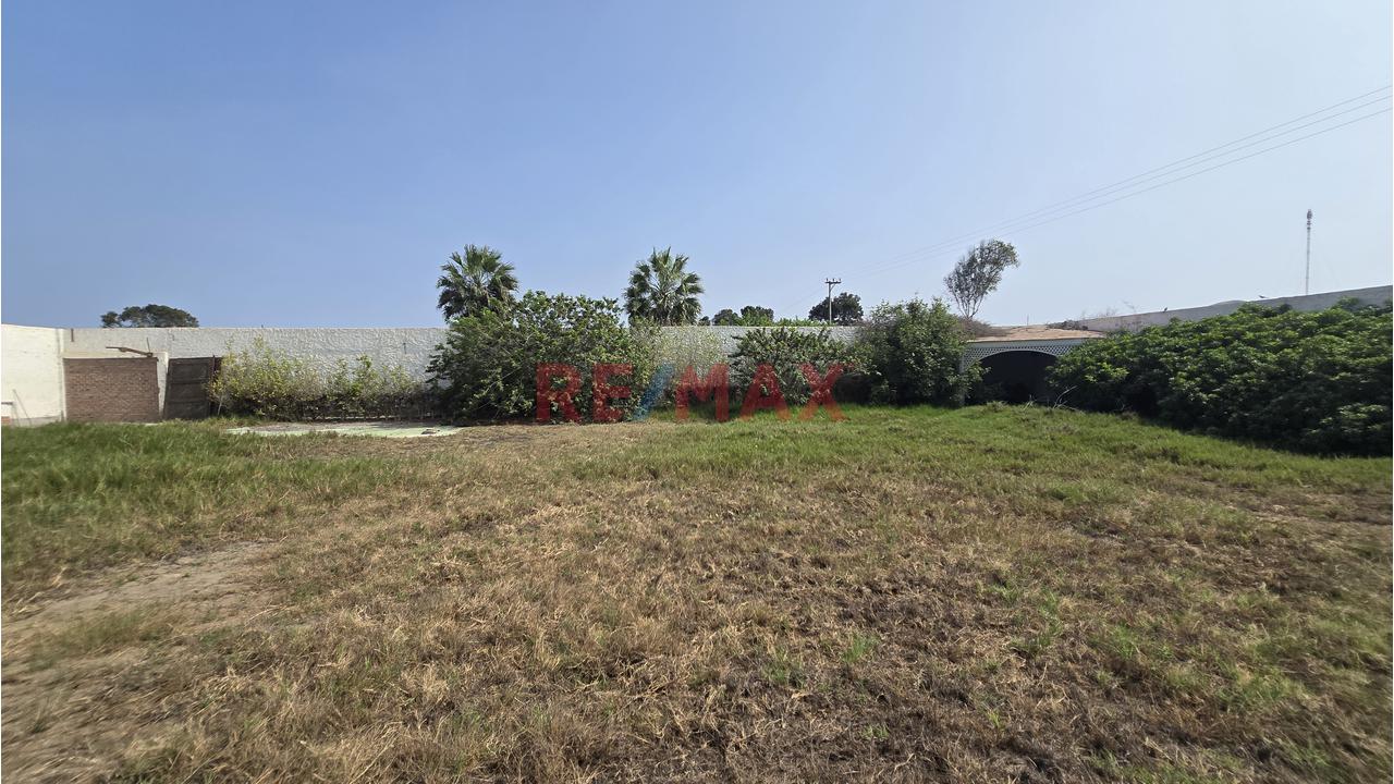Complejo Campestre 11,801M² Bujama, Mala – Cañete - 15