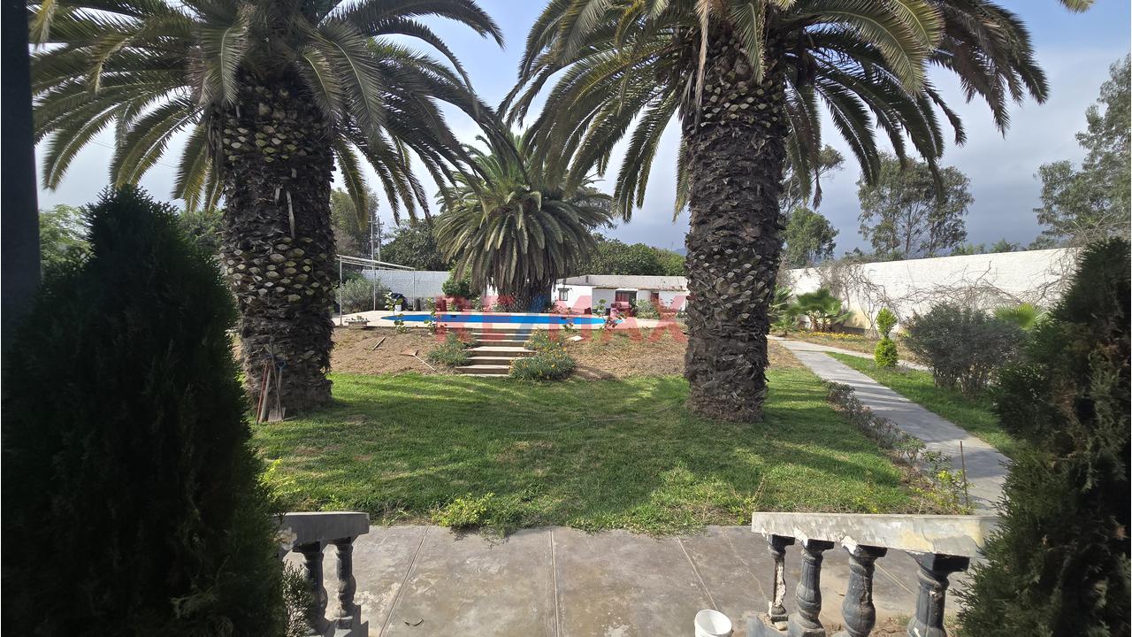 Complejo Campestre 11,801M² Bujama, Mala – Cañete - 6
