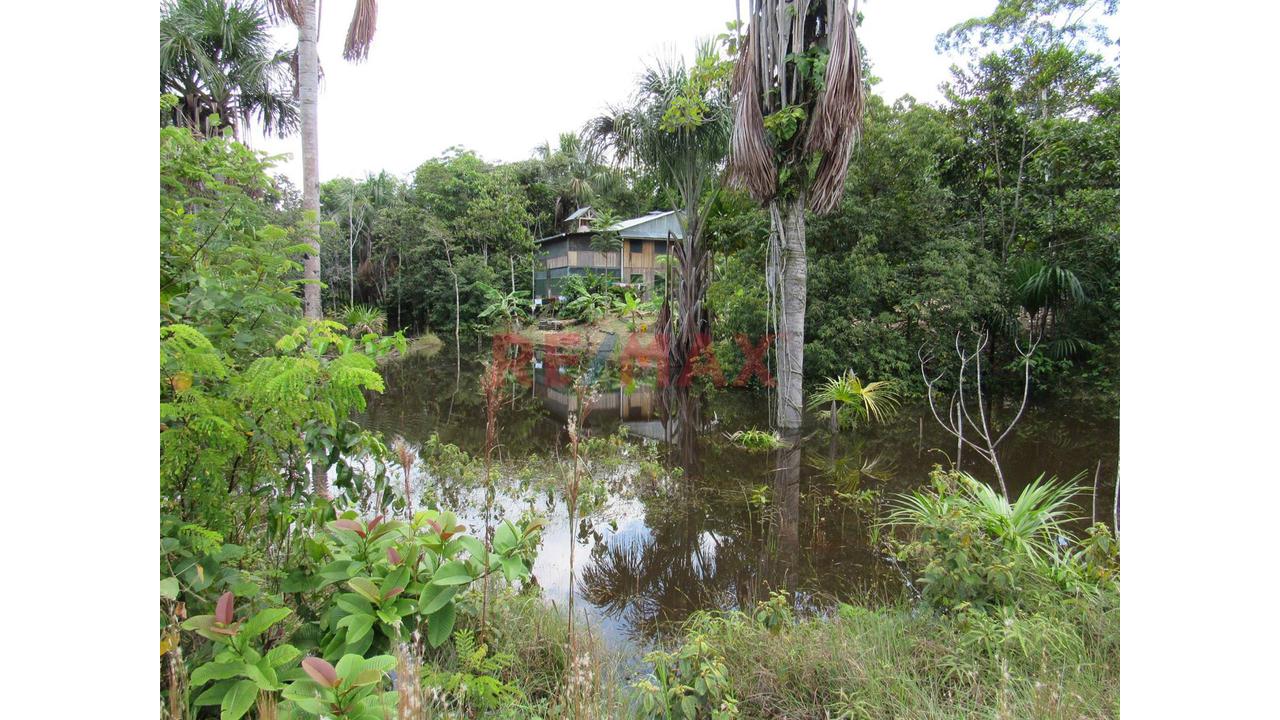 🌿 Exclusivo Centro De Retiro Y Eco Lodge En Venta – Amazonía Peruana 4.86 Hectáreas - 11