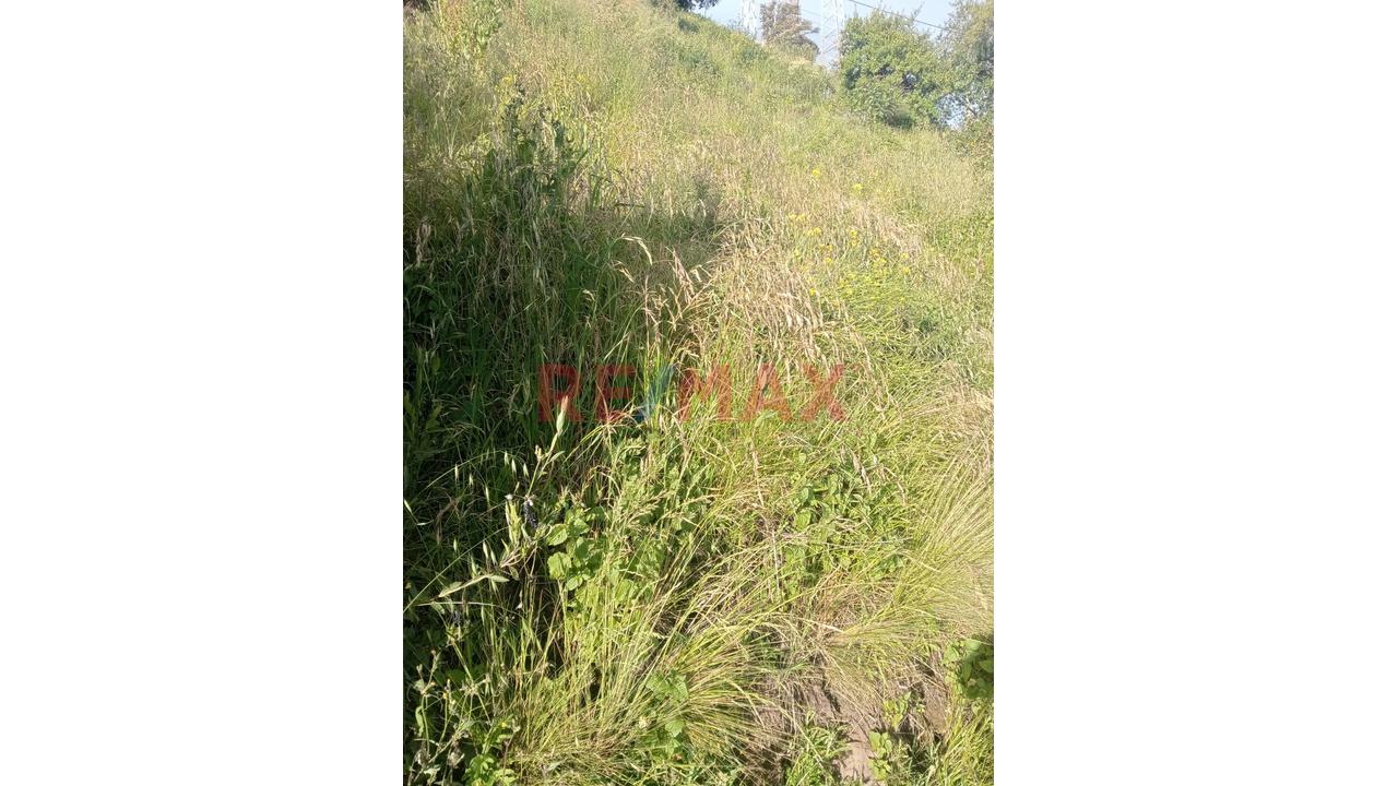 Terreno En Venta – Asociación Pro Vivienda Buena Ventura - 3