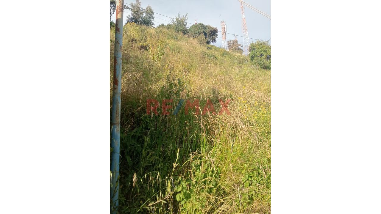 Terreno En Venta – Asociación Pro Vivienda Buena Ventura - 2