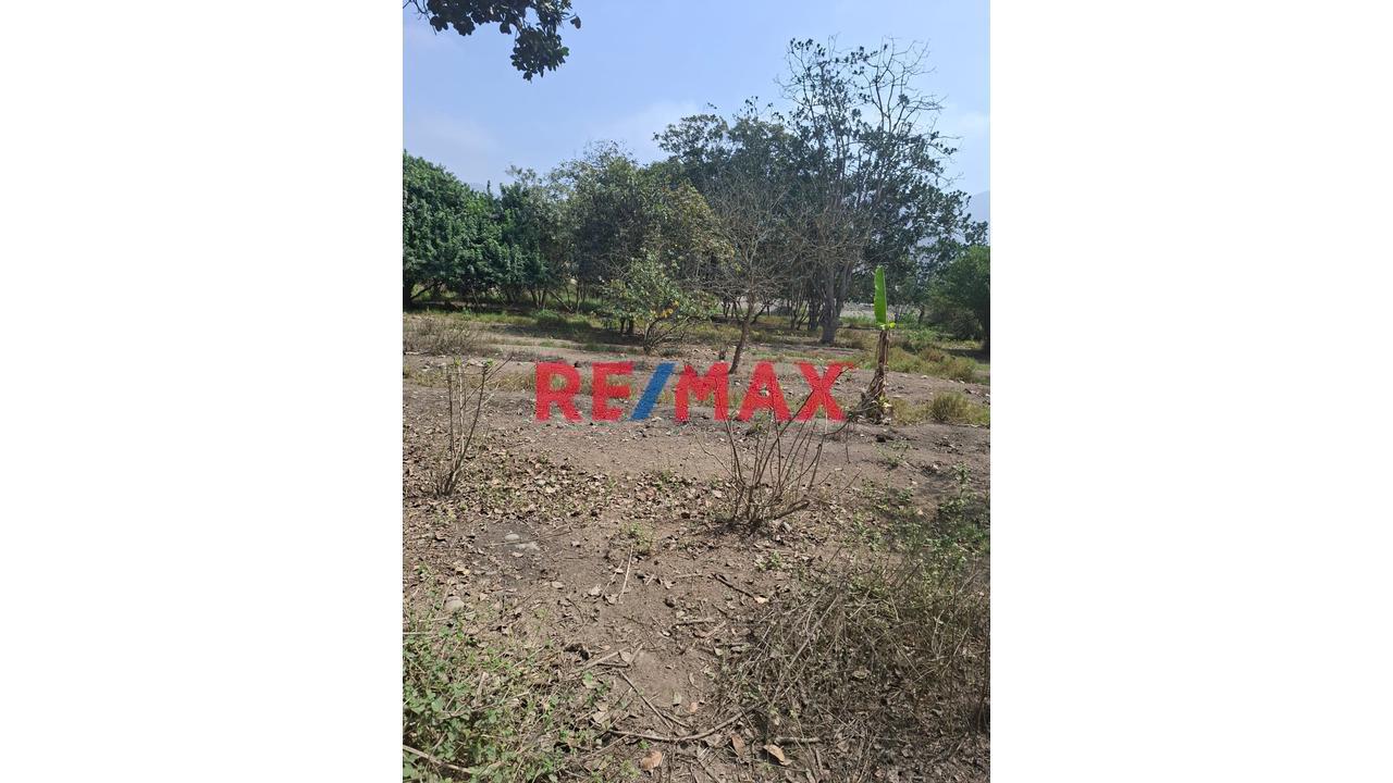 🌳 Venta De Terreno De 1.8 Ha En Pachacamac