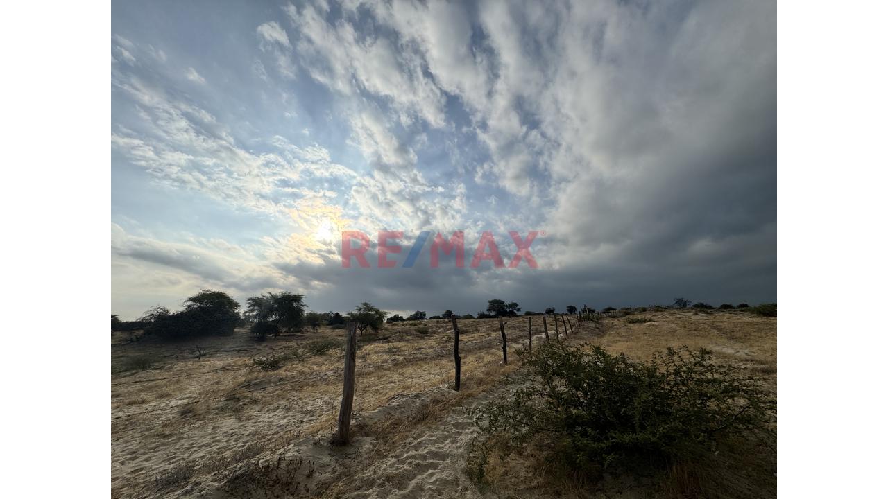 🔥 Oportunidad De Inversión | Terreno De 4.93 Ha En La Palma – Piura | Partida Registral — foto 2
