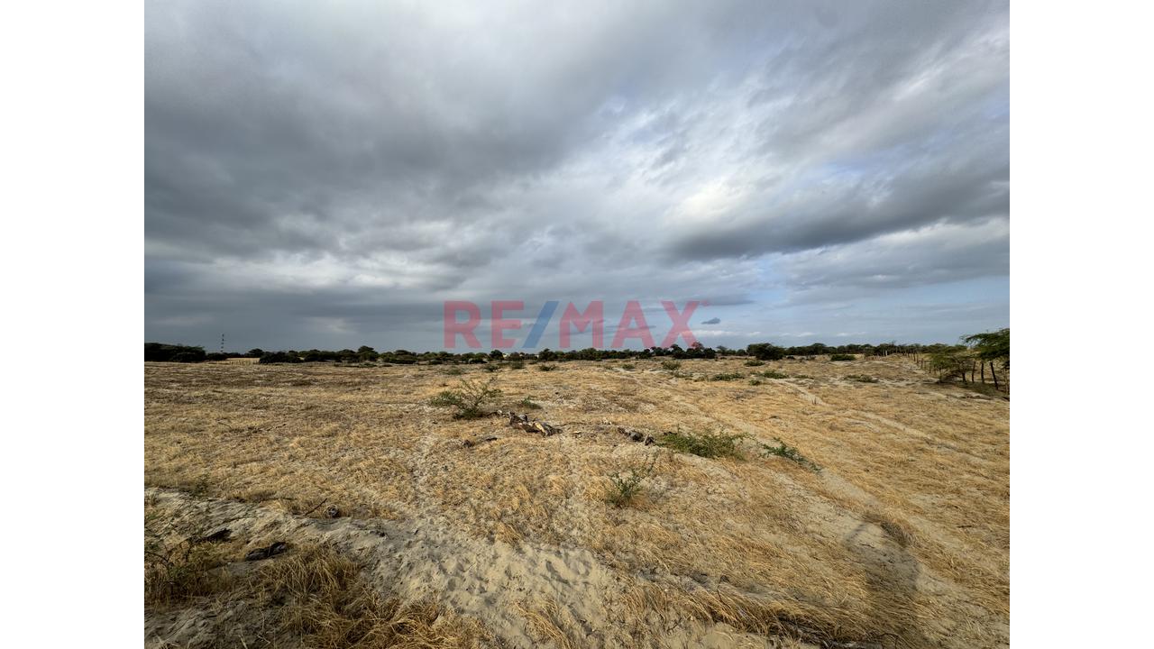 🔥 Oportunidad De Inversión | Terreno De 4.93 Ha En La Palma – Piura | Partida Registral — foto 3