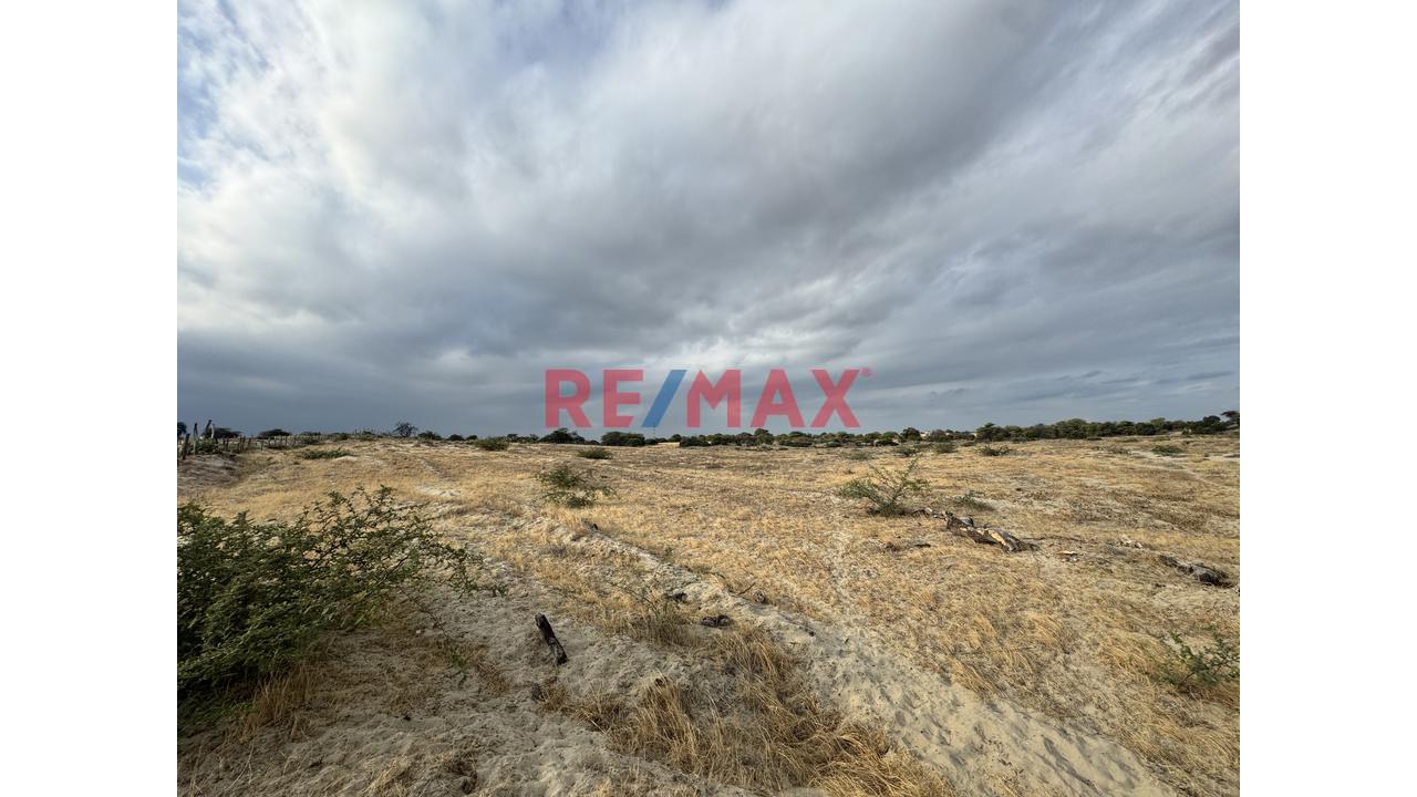 🔥 Oportunidad De Inversión | Terreno De 4.93 Ha En La Palma – Piura | Partida Registral