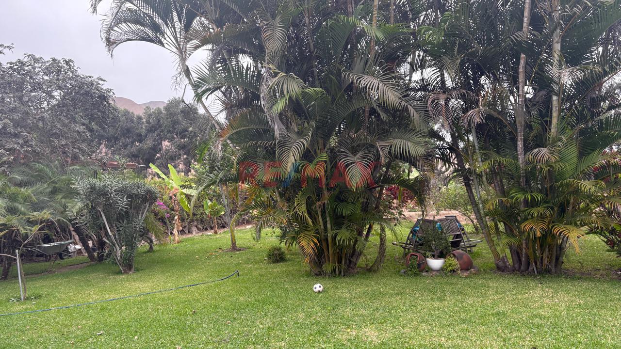 Venta De Casa De Campo - 18