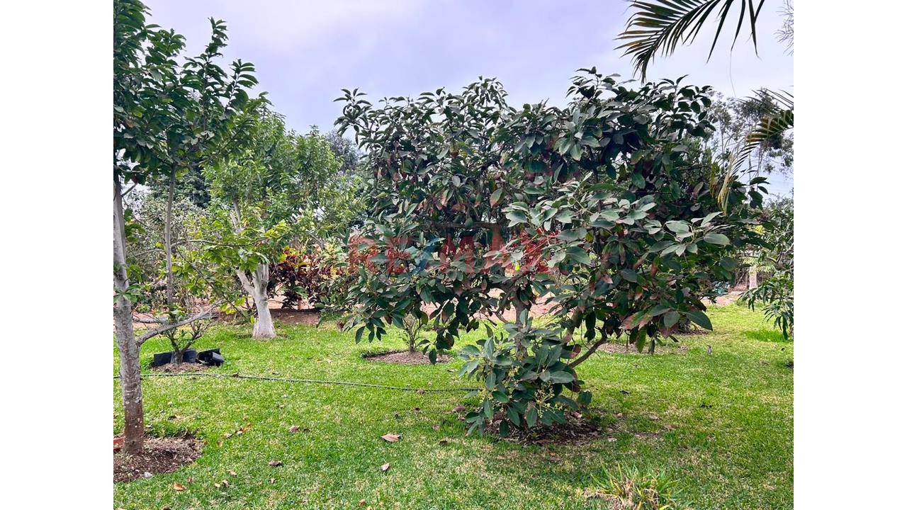 Venta De Casa De Campo - 2