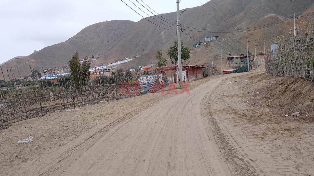Venta Terreno Agricola En Cañete - 3
