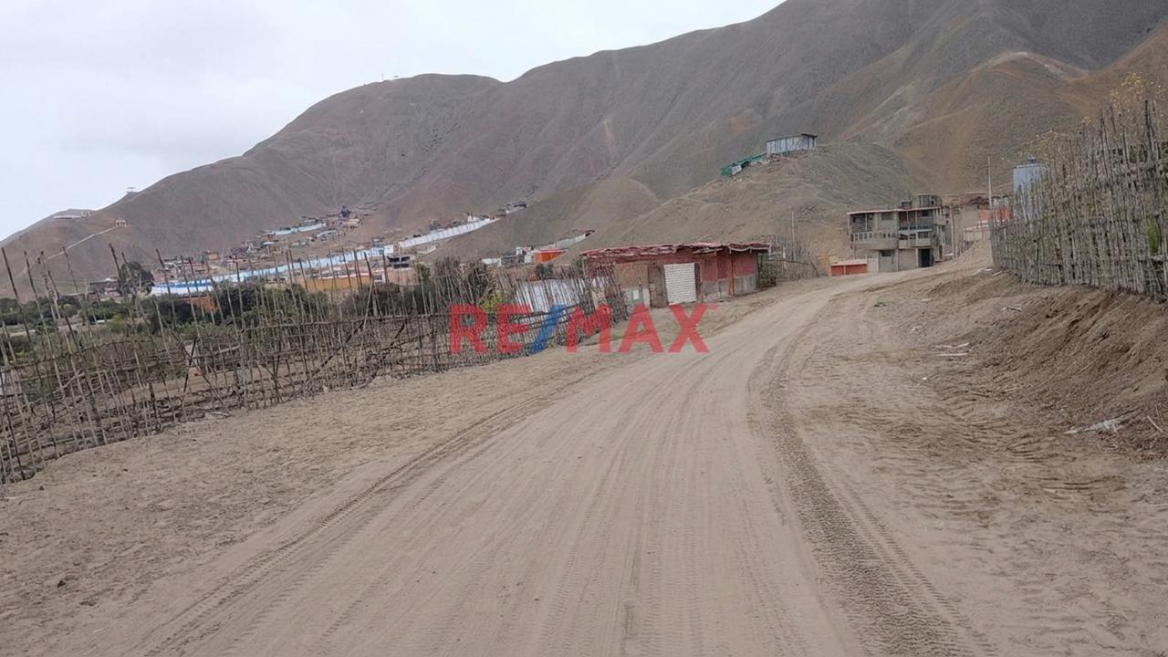 Venta Terreno Agricola En Cañete - 1