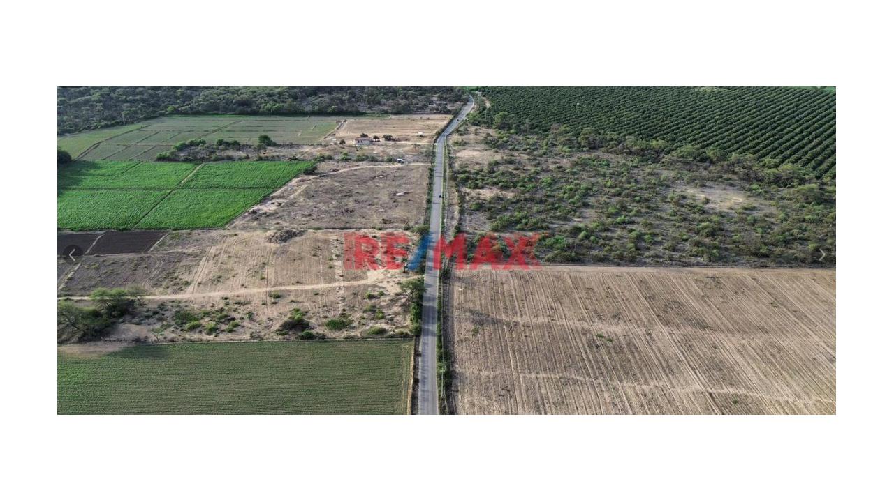 🚨 ¡Se Vende Espectacular Terreno En La Viña 17,360M2 – Jayanca! 🚨 - 6